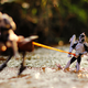 Illustration for article titled Cool Macroshots Show The Dramatic Adventures of emStar Wars/em Figurines